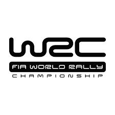 Volkswagen Polo Wrc Goodies
