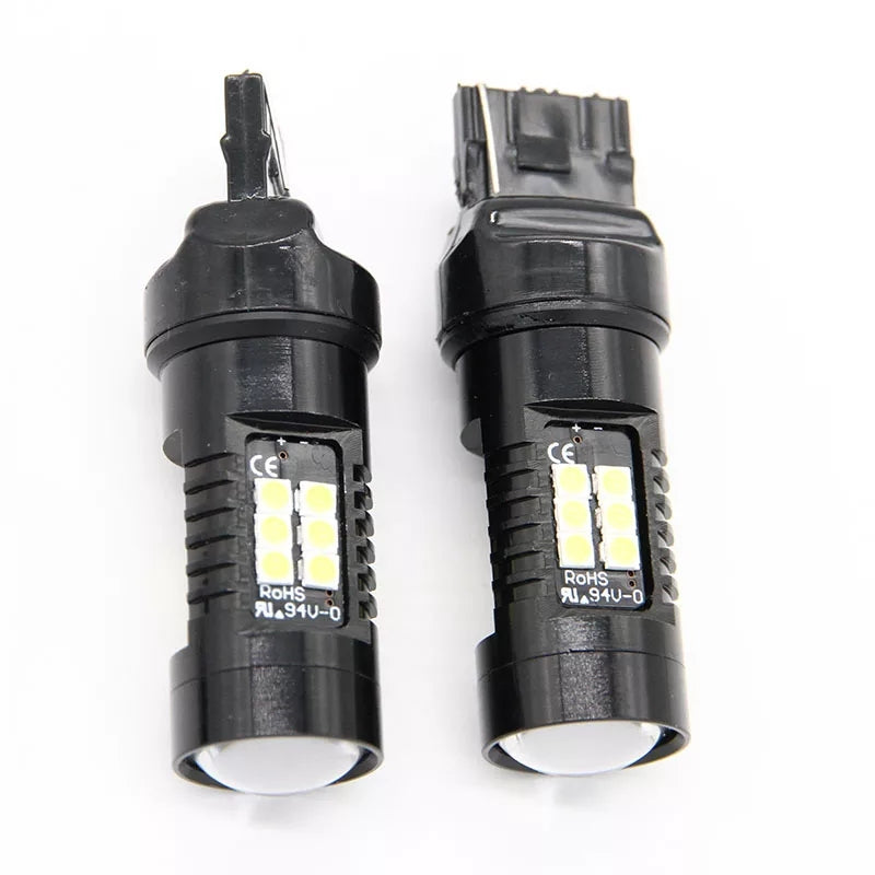 LED Festoons