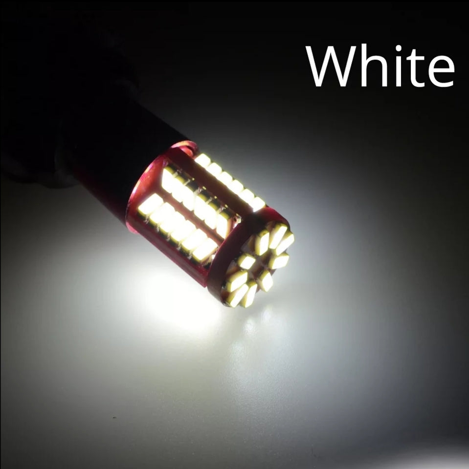 LED Festoons