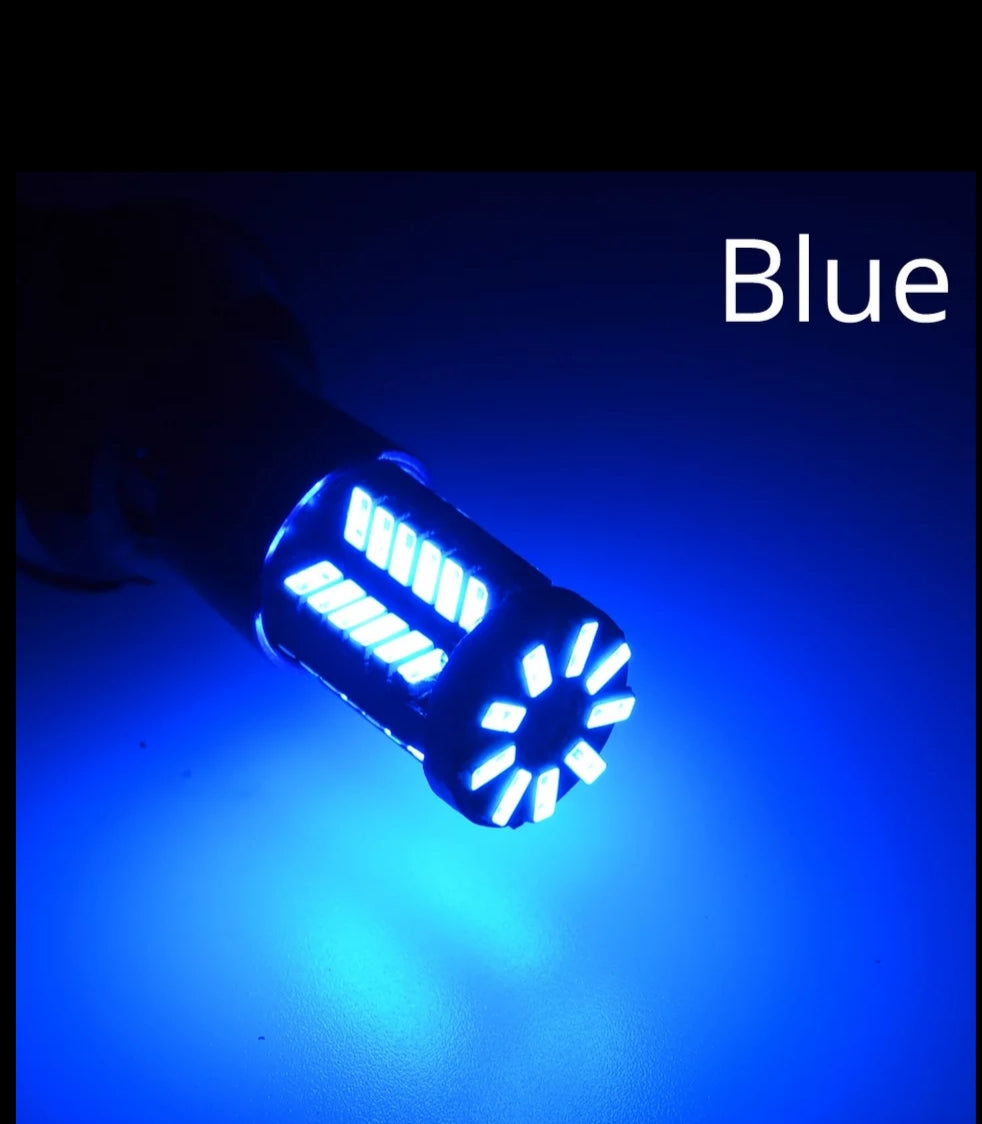 LED Festoons